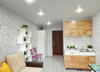 Квартира на продажу студия, 25.8 м2, Чебоксары, улица Николая Ильбекова, 7к2, Ленинский район