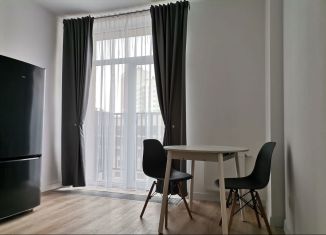 Сдается 1-ком. квартира, 37 м2, Екатеринбург, улица Краснолесья, 100/4, Академический район