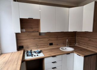 Продам 2-комнатную квартиру, 41 м2, Нижегородская область, улица Сурикова, 14А
