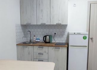 Сдаю квартиру студию, 21 м2, Екатеринбург, Латвийская улица, 58/4