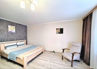 Однокомнатная квартира в аренду, 45 м2, Республика Башкортостан, Высотная улица, 12/3