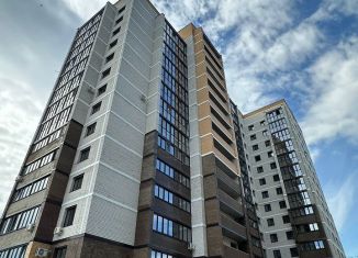 Продается квартира студия, 33.5 м2, Благовещенск, Заводская улица, 4/5, ЖК Лазурный Берег