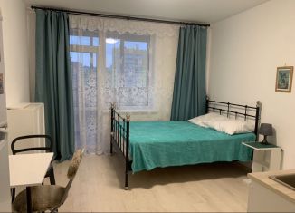 Сдам квартиру студию, 20.4 м2, Мурино, Ручьёвский проспект, 3к1