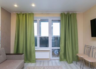 Квартира на продажу студия, 25.3 м2, Тюмень, Велижанская улица, 66, ЖК Заречный