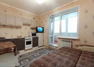 Сдаю в аренду квартиру студию, 27 м2, Ульяновская область, улица Генерала Кашубы, 1