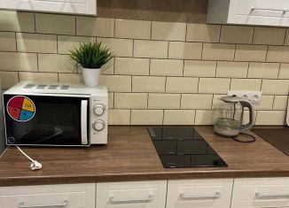 Аренда однокомнатной квартиры, 33 м2, Саратов, проспект Героев Отечества, 3А