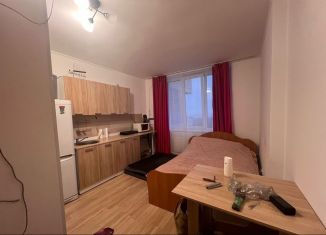 Аренда квартиры студии, 25 м2, Екатеринбург, Дорожная улица, 18, ЖК Весна