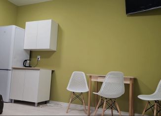 Квартира в аренду студия, 28 м2, Екатеринбург, Машинная улица, 31Е