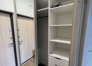 Сдаю квартиру студию, 25 м2, Ленинградская область, Графская улица, 12к1
