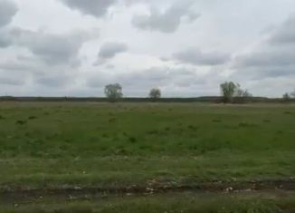 Продам участок, 11.6 сот., деревня Зорино