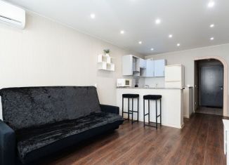 Продам квартиру студию, 26.4 м2, городской посёлок Янино-1, Голландская улица, 8