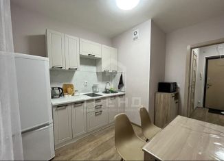 Продажа 1-ком. квартиры, 28 м2, Санкт-Петербург, Русановская улица, 19к4, муниципальный округ Народный