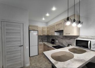 Сдается в аренду 2-ком. квартира, 45 м2, Краснодар, Российская улица, 267к4, микрорайон Завод Радиоизмерительных Приборов