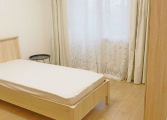 Аренда двухкомнатной квартиры, 55 м2, Санкт-Петербург, Ириновский проспект, 21к1