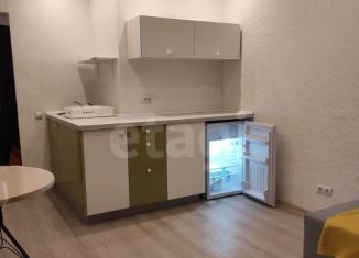 Сдам в аренду квартиру студию, 25 м2, посёлок Парголово, улица Шишкина, 311