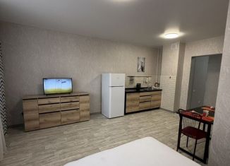 Квартира в аренду студия, 32 м2, Абакан, улица Кирова, 185к3