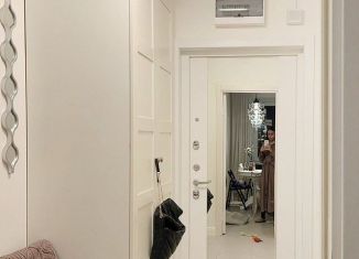 1-комнатная квартира в аренду, 40 м2, деревня Кузьмолово, Заозёрная улица, 4Б