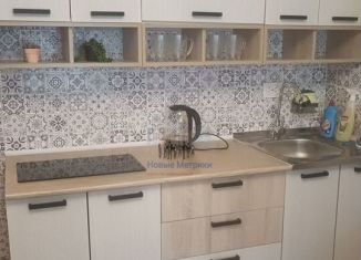 Продам 1-комнатную квартиру, 40 м2, Санкт-Петербург, Планерная улица, 87к1, муниципальный округ Юнтолово