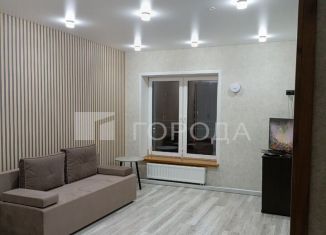 Сдается квартира студия, 37 м2, Новосибирск, улица Лобачевского, 51/1, Заельцовский район