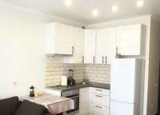 Сдается квартира студия, 24 м2, Тюмень, Интернациональная улица, 199к5, ЖК Авиатор