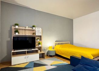 Продается квартира студия, 32.9 м2, Санкт-Петербург, бульвар Александра Грина, 3, метро Зенит