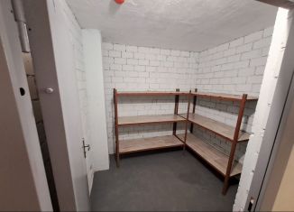 Сдается в аренду гараж, 10 м2, Нижний Новгород, проспект Гагарина, 36к5
