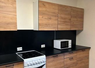 Сдаю в аренду 1-ком. квартиру, 37.9 м2, посёлок Парголово, улица Фёдора Абрамова, 8