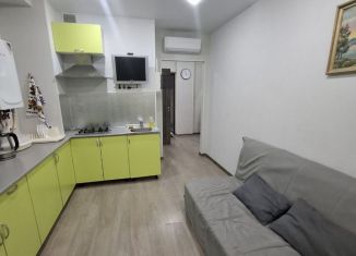 Сдается в аренду 1-комнатная квартира, 43 м2, село Небуг, улица Газовиков, 3А/3