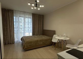 Сдаю в аренду квартиру студию, 29 м2, посёлок Шушары, Новгородский проспект, 2к3