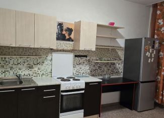 Сдается 1-комнатная квартира, 46 м2, Краснодар, проспект имени писателя Знаменского, 6, Карасунский округ