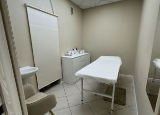Сдам офис, 9.2 м2, Санкт-Петербург, 3-я Советская улица, 16, метро Площадь Восстания