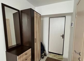 Квартира на продажу студия, 16.8 м2, Челябинск, Трудовая улица, 28