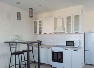 Сдам в аренду квартиру студию, 29 м2, Тюмень, улица Республики, 204к6