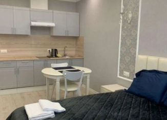 Продаю квартиру студию, 28.7 м2, Санкт-Петербург, Будапештская улица, 102, ЖК Балканы