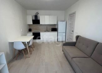 Сдам в аренду 1-ком. квартиру, 32.5 м2, Екатеринбург, улица Евгения Савкова, 23/2, Академический район
