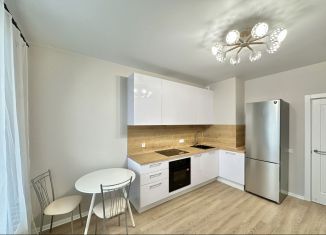 Аренда квартиры студии, 25 м2, Колпино, проспект Ленина, 60, ЖК Астрид