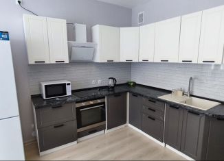 Сдается однокомнатная квартира, 45 м2, Екатеринбург, Переходный переулок, 3А