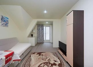 Квартира на продажу студия, 23 м2, посёлок Российский, Измаильская улица, 10