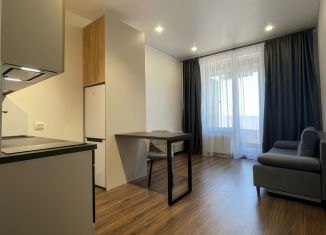Квартира на продажу студия, 26.2 м2, посёлок Российский, Парижская улица, 5/3