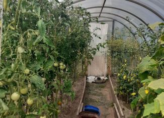 Продаю дачу, 17 м2, Бор, СНТ Стеклозаводец, 180