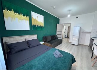 Сдам квартиру студию, 31 м2, Екатеринбург, улица Чапаева, 79