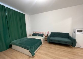 Сдача в аренду квартиры студии, 27 м2, Екатеринбург, проспект Космонавтов, 9Б