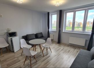 Сдается в аренду квартира студия, 27 м2, Екатеринбург, улица Академика Парина, 35, Академический район
