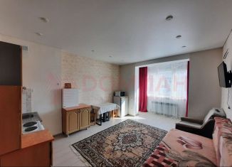 Продаю квартиру студию, 29.6 м2, посёлок Российский, Измаильская улица, 15