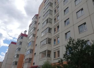 Сдается в аренду 2-комнатная квартира, 54 м2, Санкт-Петербург, улица Освобождения