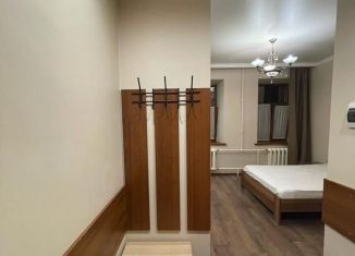 Сдаю квартиру студию, 21 м2, Санкт-Петербург, Гражданская улица, 9, метро Сенная площадь