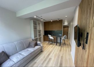 Продам квартиру студию, 28 м2, Сочи, Ландышевая улица, 12Д, микрорайон Мамайка
