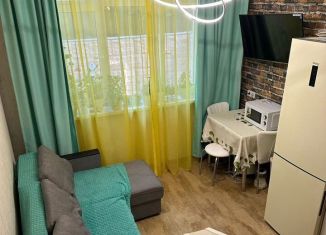 Продаю квартиру студию, 28 м2, Сочи, улица Дмитриевой, 32Г, микрорайон Светлана