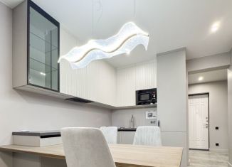 Продажа 2-ком. квартиры, 48 м2, Сочи, переулок Трунова, 6к4, микрорайон Завокзальный