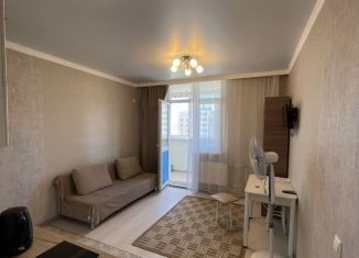 Сдам квартиру студию, 25 м2, Оренбург, Уральская улица, 2/19